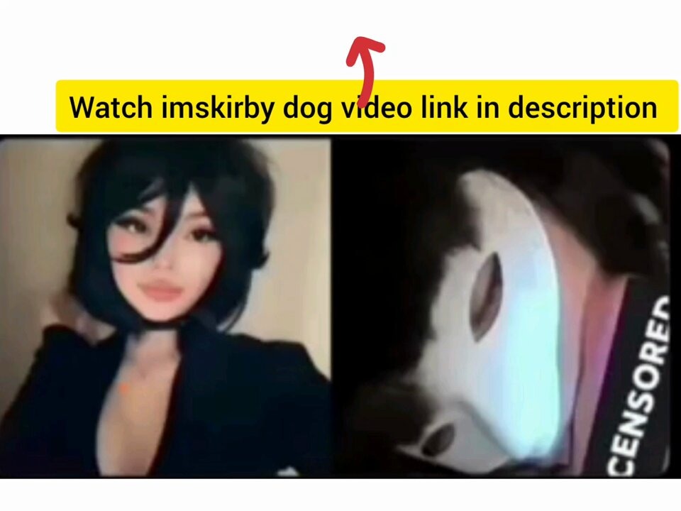 The Viral Sensation Skirby Dog Video on Twitter bostonenglish.edu.vn