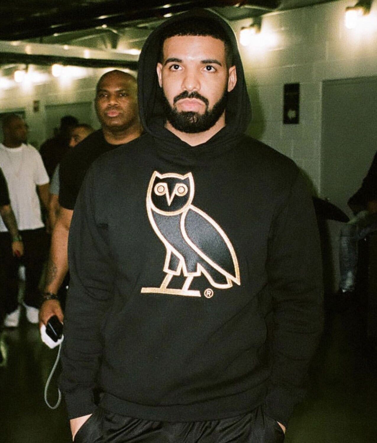 drake owl