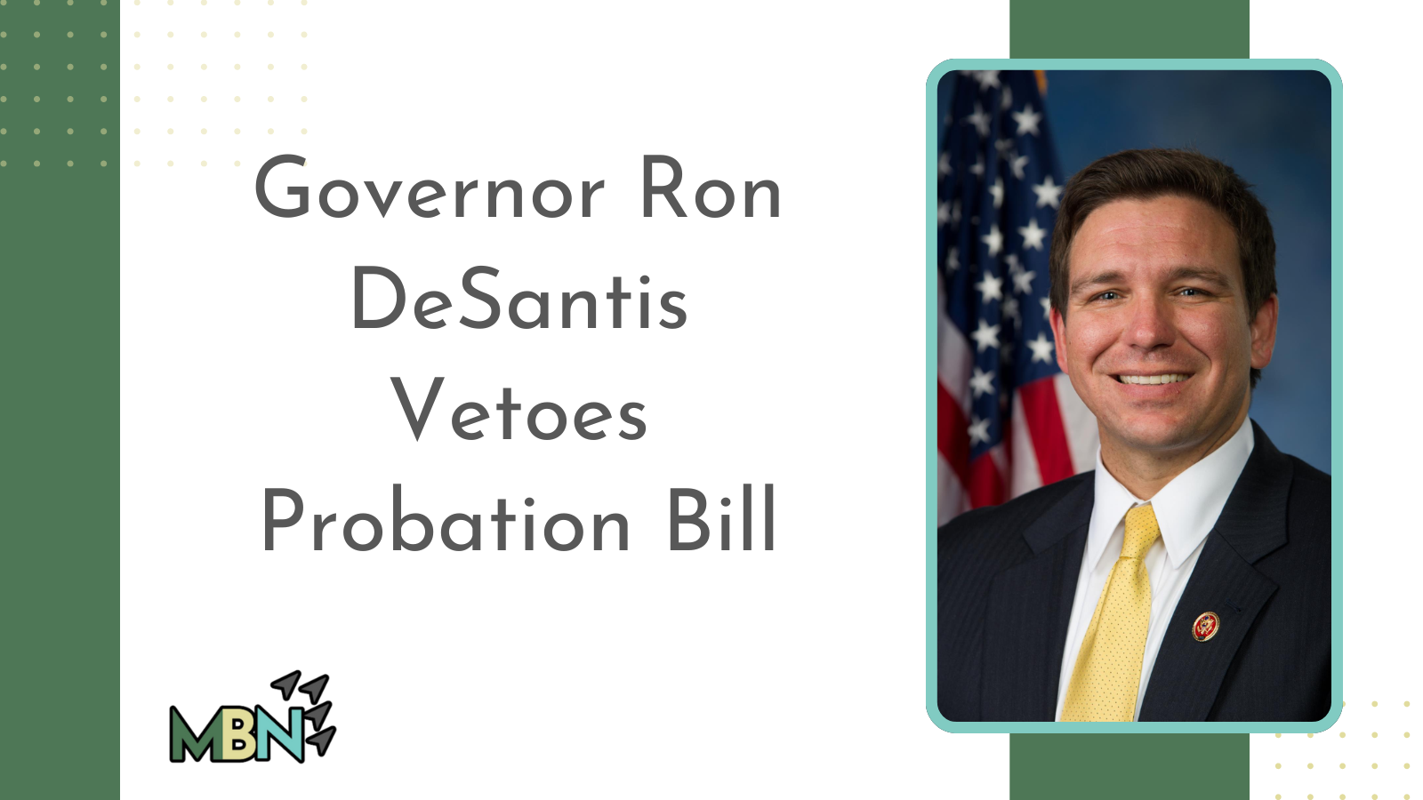 desantis vetoes