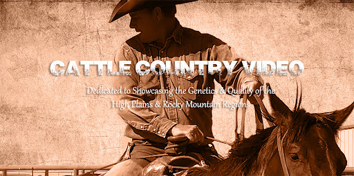 cattle country video