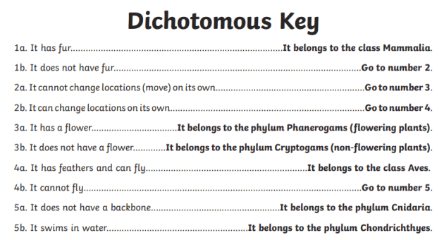 dichotomous