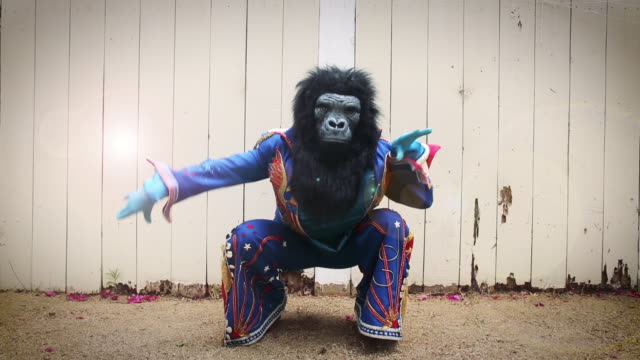 gorilla mask video