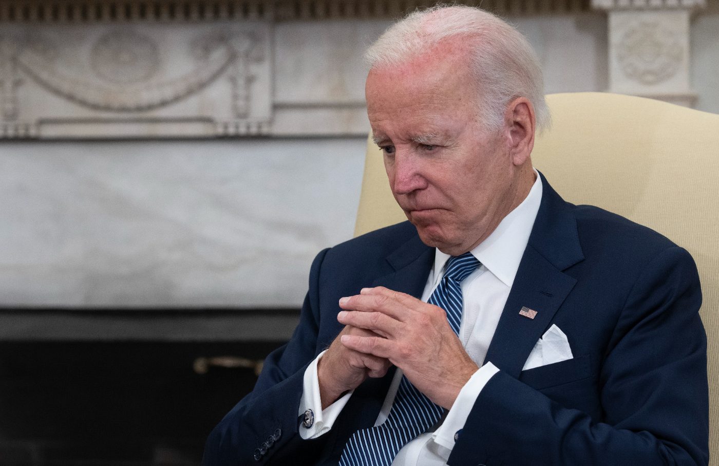 Biden 2024 Run Dyna Natala