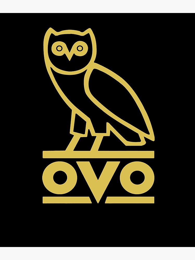 ovo owl