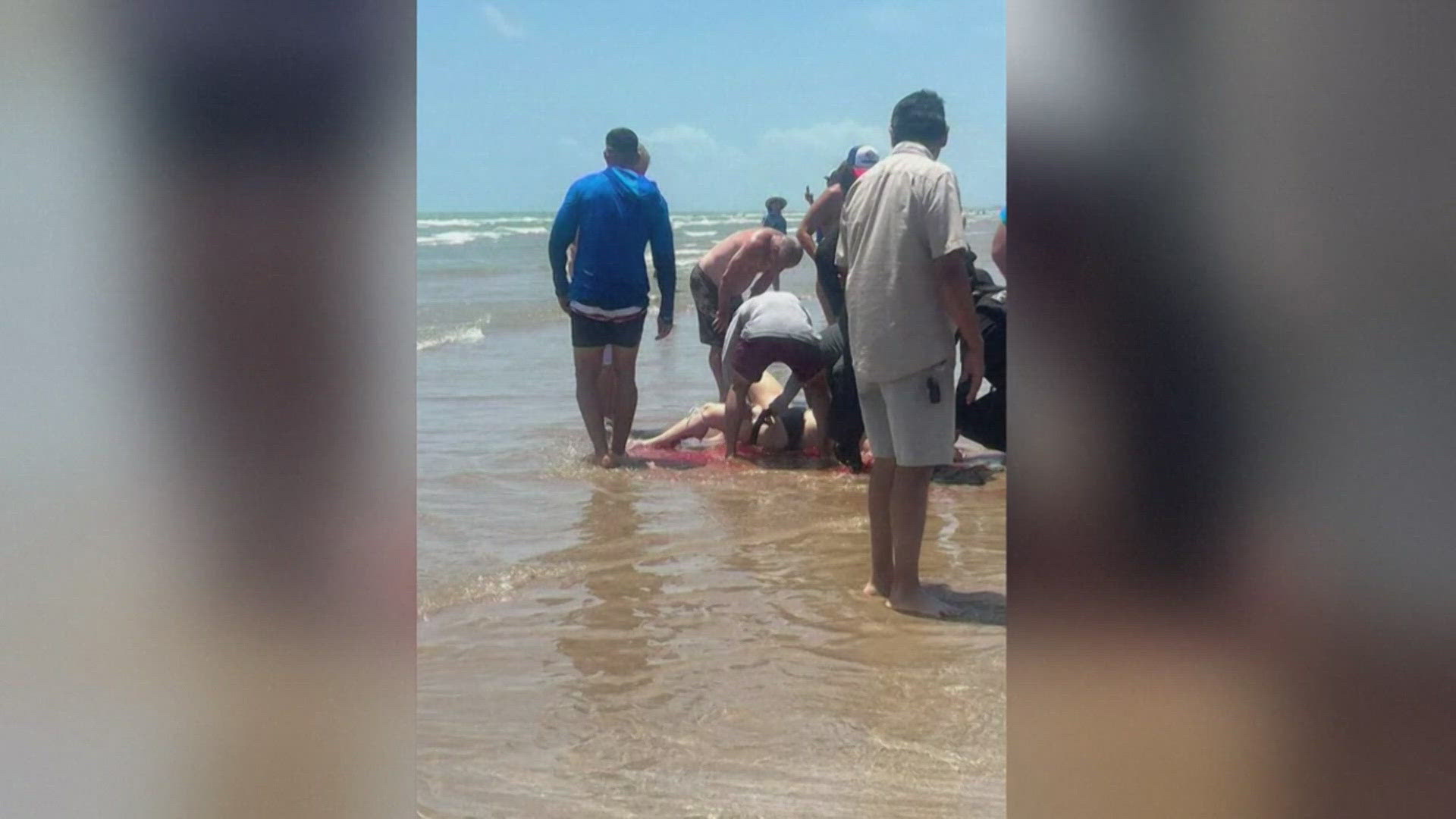 south padre shark attack video